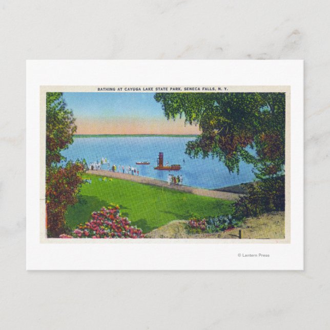 Cartão Postal Cena de natação no Parque Estadual do Lago Cayuga (Frente)