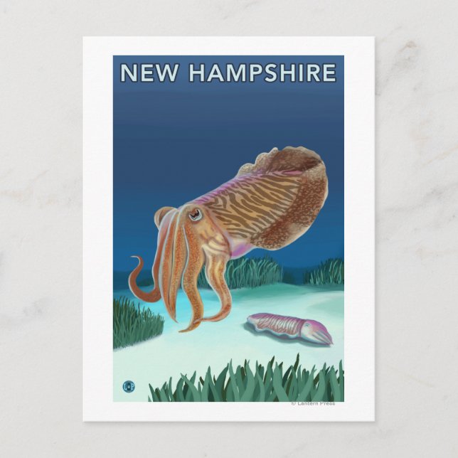 Cartão Postal Cena de Nova HampshireCuttlefish (Frente)