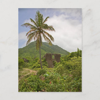 Cartão Postal Cena de Palmeira da Ilha das Ruínas do Açúcar de C