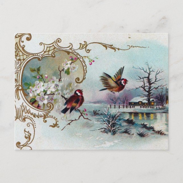 Cartão Postal Cena de Pássaros (Frente)