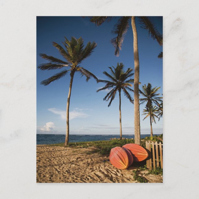 Cartão Postal Cena de Praia Tropical (Frente)