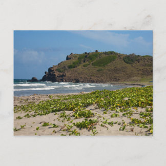 Cartão Postal Cena Desertada de Praia Caribe na Lsland