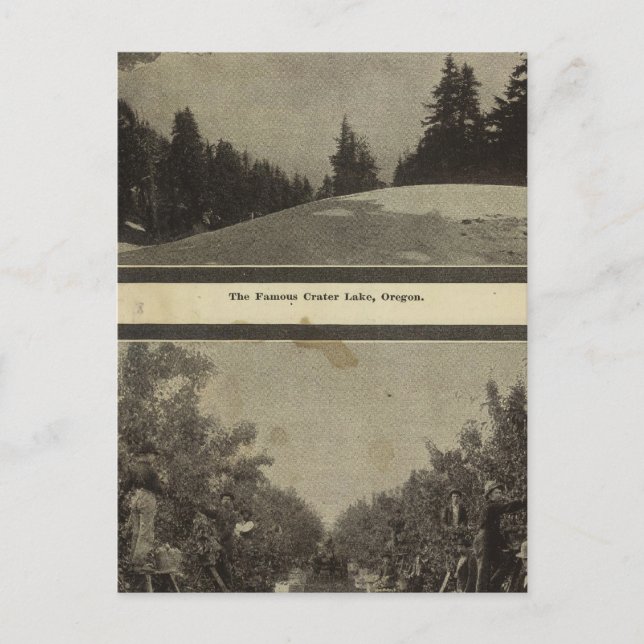 Cartão Postal Cena do Crater Lake Oregon Orchard (Frente)