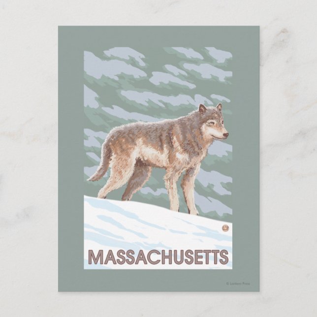 Cartão Postal Cena do Massachusetts Wolf (Frente)