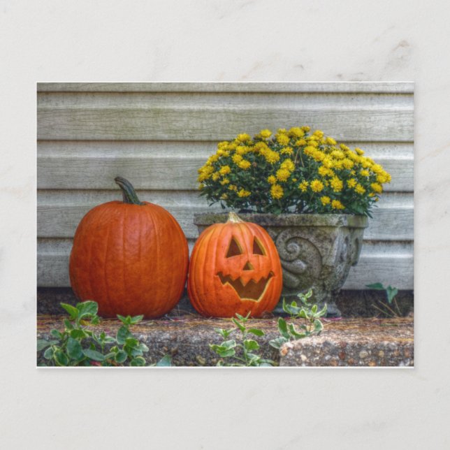 Cartão Postal Cena do outono (Frente)