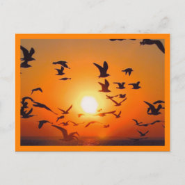 Cartão Postal Cena do pôr do sol com borda laranja