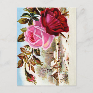 Cartão Postal Cena e Flores de inverno