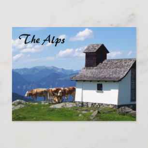 Cartão Postal Cena Montanha dos Alpes com Vacas Alpinas