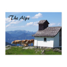 Cena Montanha dos Alpes com Vacas Alpinas