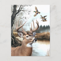 Cena natural de Veado Branco e Mallards