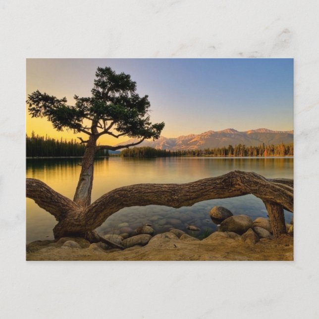 Cartão Postal Cena Natureza (Frente)