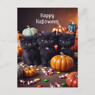 Cartão Postal Cena Noturna de Halloween de Gatos Pretos e Abóbor