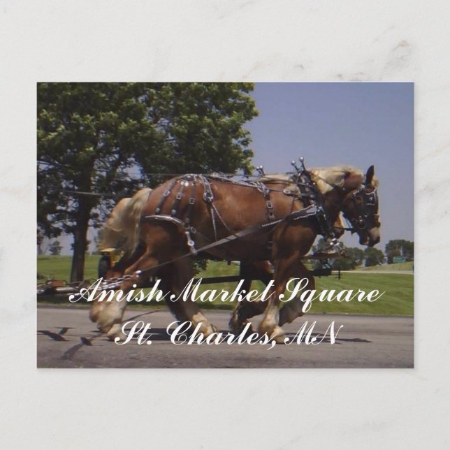 Cartão Postal Cenário (Frente)