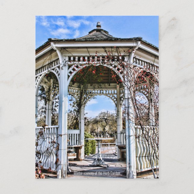 Cartão Postal Cenário de inverno do Jardim Herbo [Cartão Postal] (Frente)