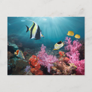 Cartão Postal Cenário de recifes de coral Ídolo úmido