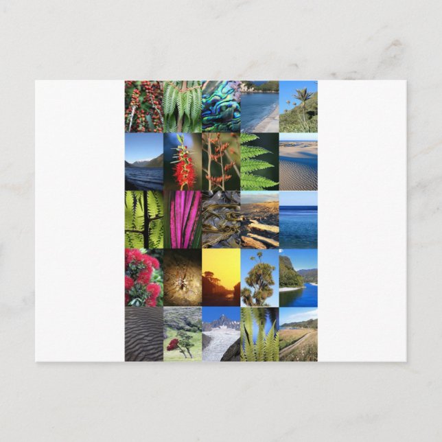 Cartão Postal Cenas da natureza Icônica Nova Zelândia Kiwiana (Frente)