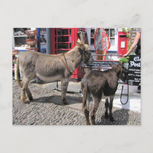 Cartão Postal Cenas de Inglês, Donkeys em Clovelly, Devon do No