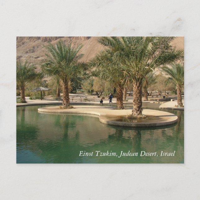 Cartão Postal Cenas e Imagens da Terra Santa de Israel (Frente)