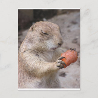 Cartão Postal Cenoura