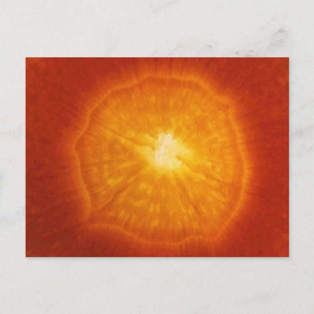 Cartão Postal Cenoura (Frente)