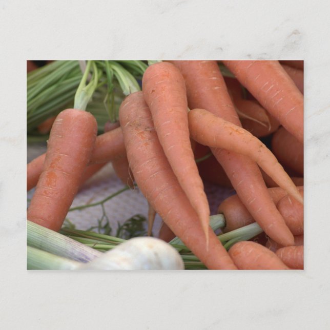 Cartão Postal Cenouras (Frente)