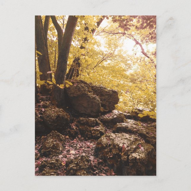 Cartão Postal central estadual de backbone iowa (Frente)