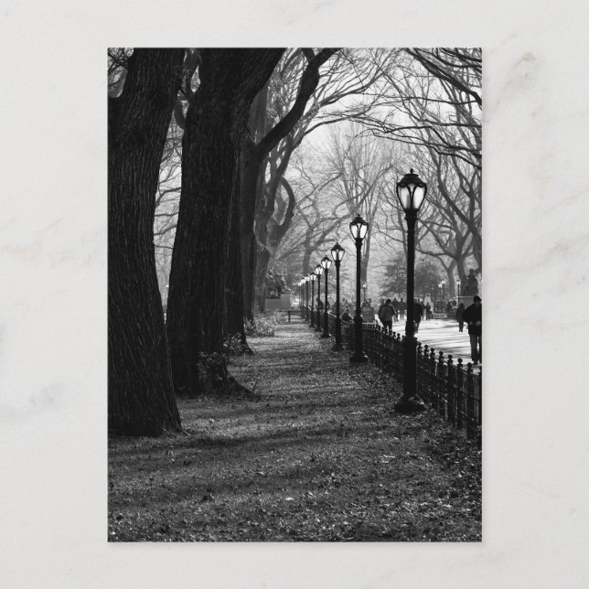 Cartão Postal Central Park em Nova Iorque (Frente)