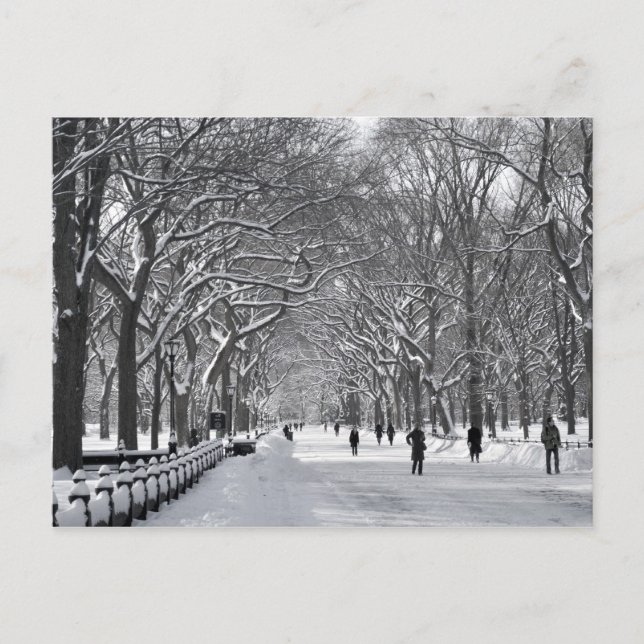 Cartão Postal Central Park Mall B&W (Frente)