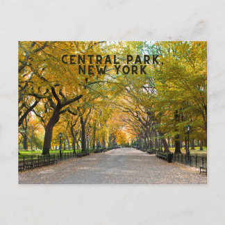 Cartão Postal Central Park, New York Postcard Souvenir