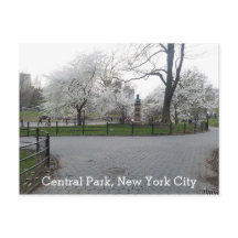Central Park New York Springtime Path com árvores