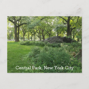 Cartão Postal Central Park New York Summer Scenview