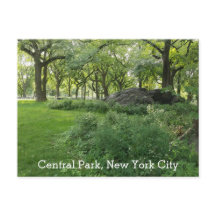 Central Park New York Summer Scenview
