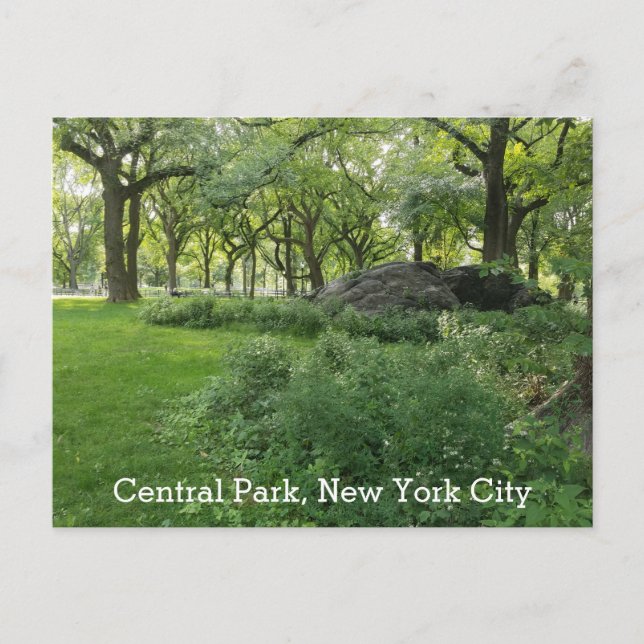Cartão Postal Central Park New York Summer Scenview (Frente)
