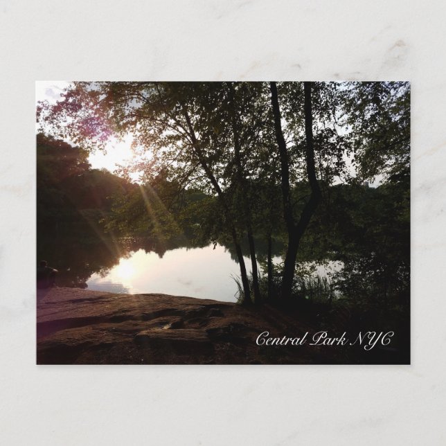 Cartão Postal Central Park New York Summer Sunlight no Pond (Frente)