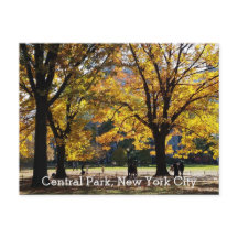 Central Park Nova York Outono Árvores Amarelas