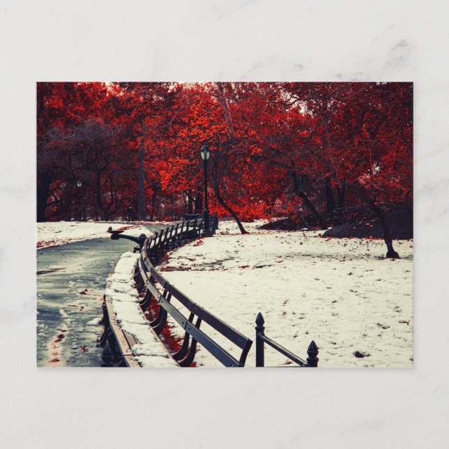 Cartão Postal Central Park, NYC (Frente)