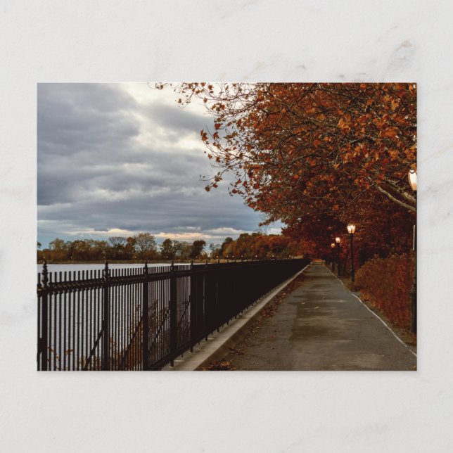 Cartão Postal Central Park NYC no outono (Frente)