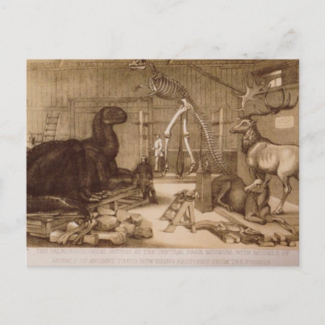 Cartão Postal Central Park Studio Benjamin Waterhouse Hawkins (Frente)