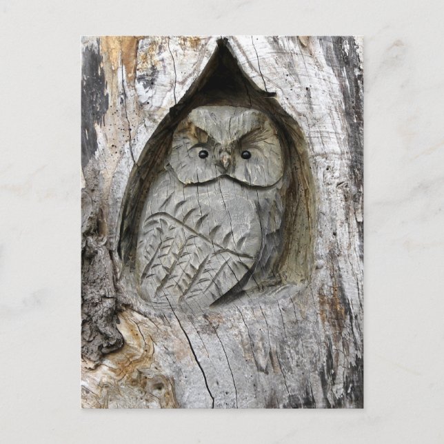 Cartão Postal Centro de Natureza e Arte (Frente)