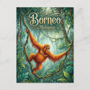 Cartão Postal Centro de Reabilitação de Orangotangos Sepilok Mal
