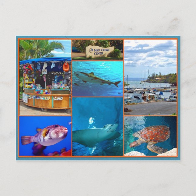 Cartão Postal Centro Oceano Maui (Frente)