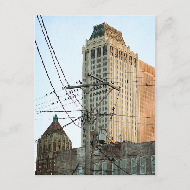 Cartão Postal Centro Tulsa com Aves (Frente)