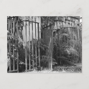 Cartão Postal Cerca com Espigões