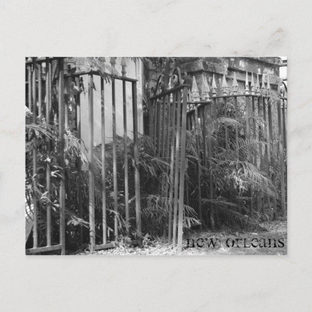 Cartão Postal Cerca com Espigões (Frente)