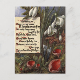 Cartão Postal Cerca de 1890: Quedas de neve