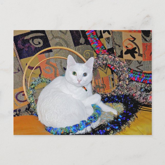 Cartão postal cercado pela serenidade (Frente)