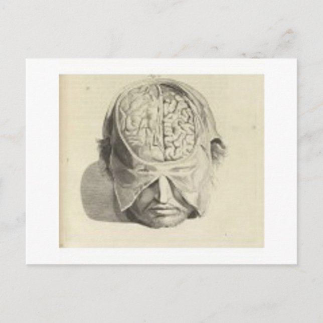 Cartão Postal Cérebros (Frente)