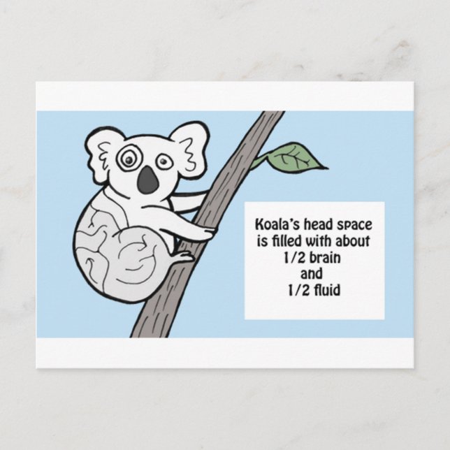 Cartão Postal Cérebros de Bumpy Koala (Frente)