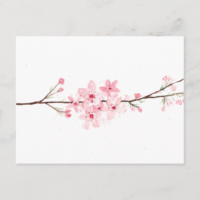Cartão Postal Cereja floresce flores sakura rosa japonês (Frente)