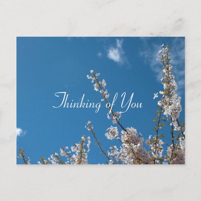 Cartão Postal cereja floresce no céu azul pensando em você (Frente)